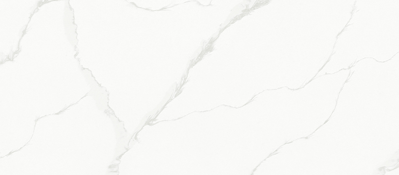 JS 29833 Paris Spring